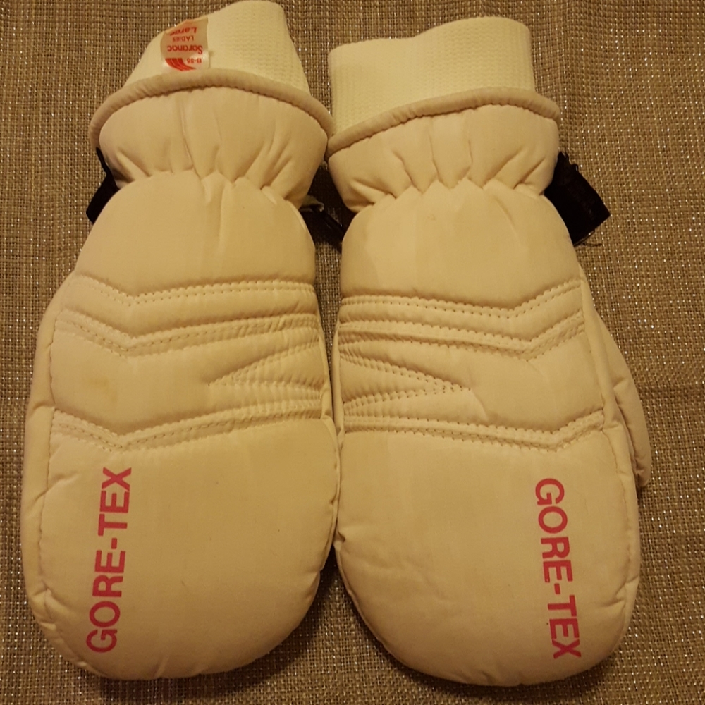 Thinsulate Gore-Tex Insulated Ski Gloves